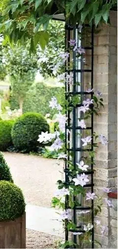 8 أفكار لاخفاء مواسير السباكة الخارجية والداخلية بأناقة 6 5eb21c6e0ff97b32 5524 w240 h506 b0 p0 5 11zon